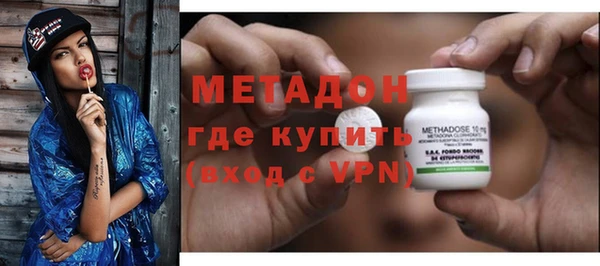 сатива Каменка