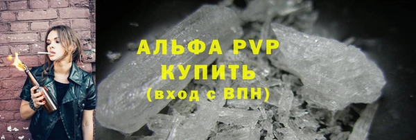 стаф Каменск-Шахтинский