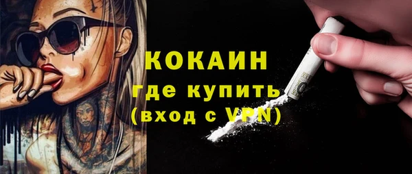 сатива Каменка