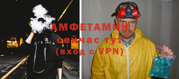 сатива Каменка