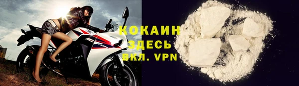 стаф Каменск-Шахтинский