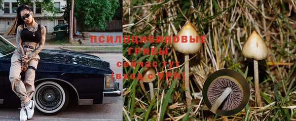 MDMA Каменногорск