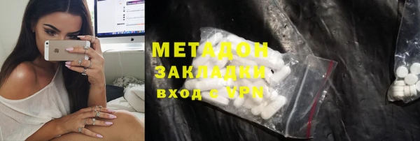 сатива Каменка