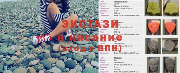 стаф Каменск-Шахтинский