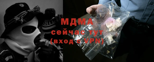 сатива Каменка