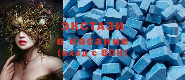 сатива Каменка