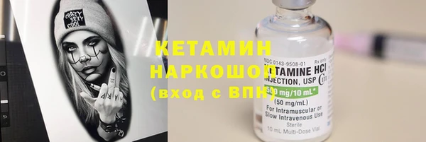 сатива Каменка
