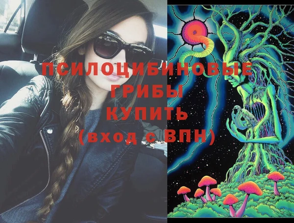 сатива Каменка