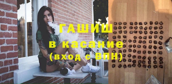 сатива Каменка