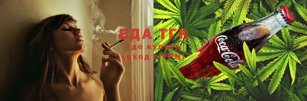 сатива Каменка