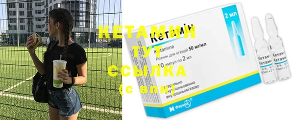 сатива Каменка