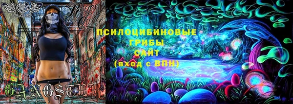 стаф Каменск-Шахтинский