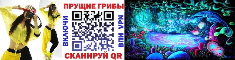 Купить  Озёрск  Псилоцибиновые грибы Psilocybine cubensis 